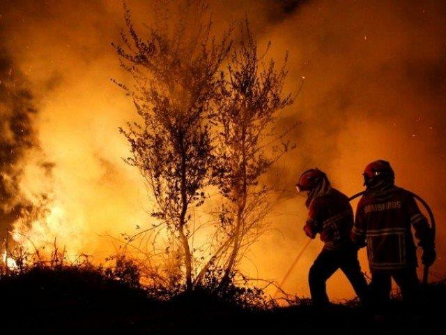 Firefighters work to extinguish flames from a forest fire in Cabanoes near Lousa