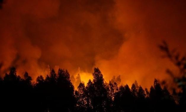 Portugal interior minister resigns after deadly wildfires