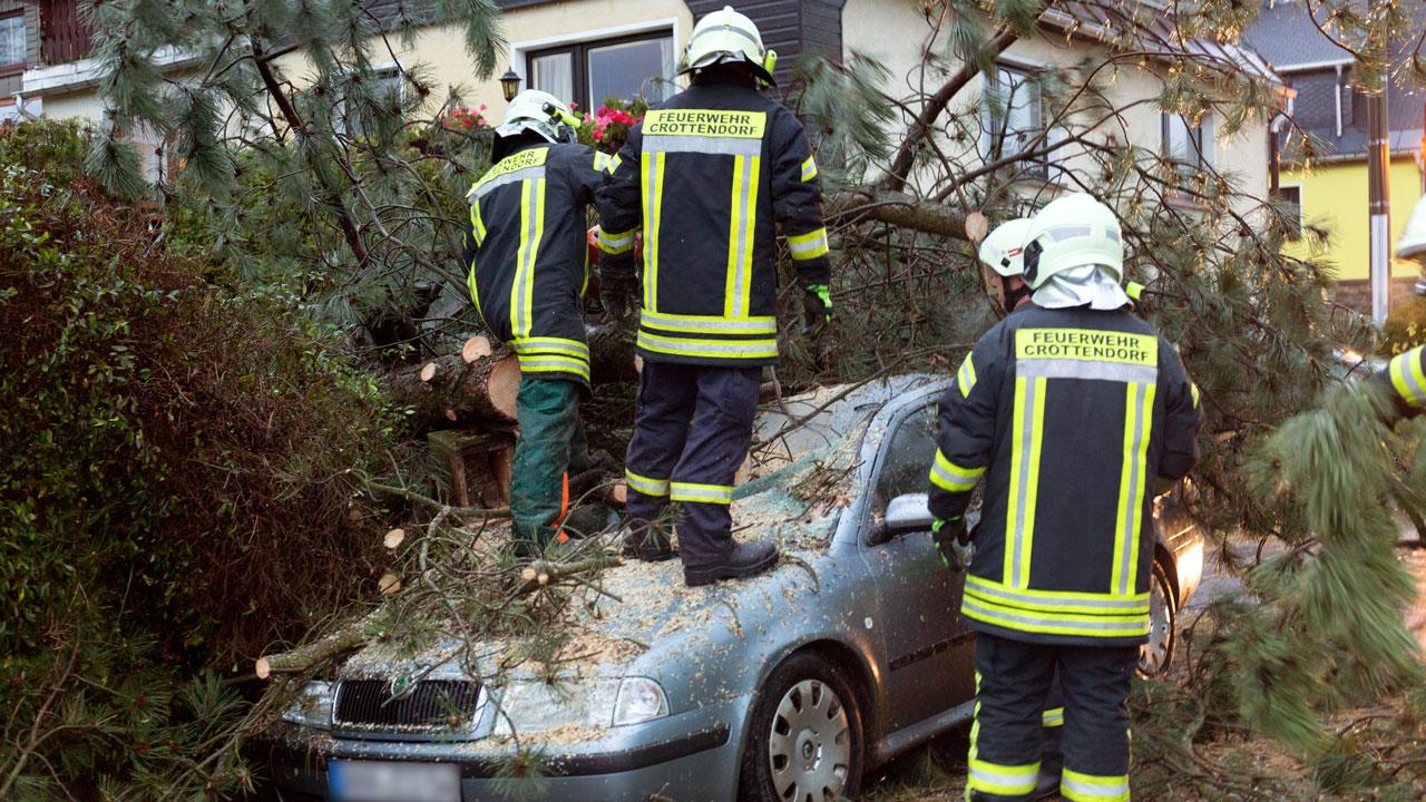 Up a tree which has fallen on a car in Crottendorf, eastern Germany on October 29, 2017 