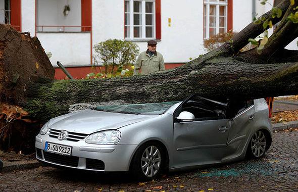 Strong winds have ripped up trees across central Europe