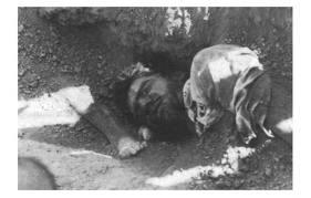  An iconic image from Khavaran near Tehran, where many of those executed are buried