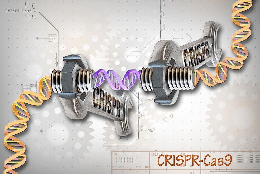 A CRISPR graphic illustrating gene editing.