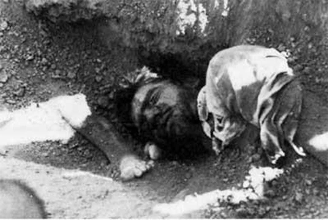 The martyrs' bodies of the massacre in the mass grave in Khavaran 