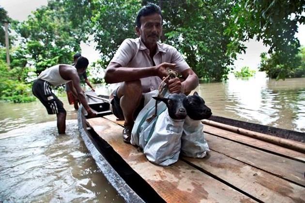 Heavy monsoon rains have unleashed landslides and floods that killed at least 173 people in recent days 