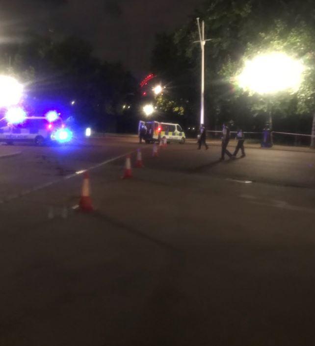  Images show a police cordon around the Palace