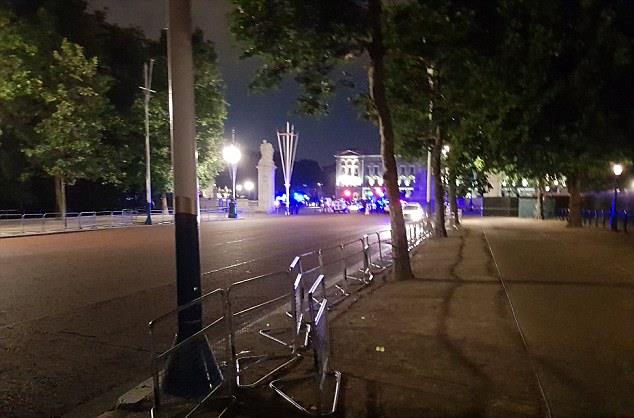 The Metropolitan Police confirmed a man was arrested on suspicion of GBH and assault after the incident outside Buckingham Palace