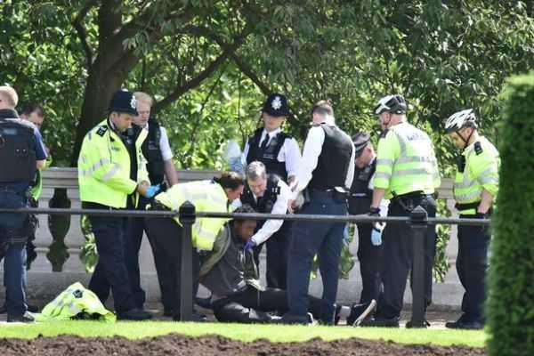 A man with a 'large knife' who assaulted two police officers outside Buckingham Palace on Friday night has been arrested