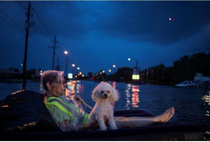 A rescue helicopter hovers in the background as an elderly woman and her poodle use an air mattress to float above flood waters from Tropical Storm Harvey while waiting to be rescued from Scarsdale Boulevard in Houston, Texas, U.S. August 27, 2017.
