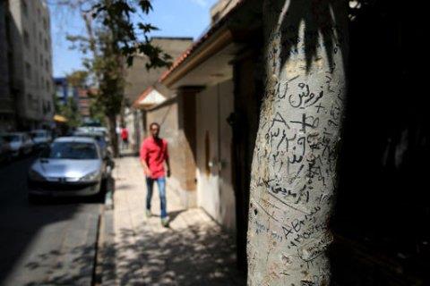 Photo, shows handwritten advertisements for human kidneys for sale that includes the sellers' phone number and blood type, on a tree in downtown Tehran, Iran. A unique system allows those in need of a transplant to buy a kidney. 