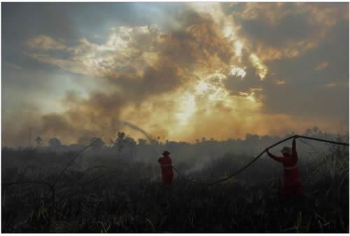 Firefighters try to extinguish a bush fire in Ogan Ilir regency, South Sumatra, Indonesia August 4, 2017, in this photo taken by Antara Foto. The picture was taken August 4, 2017. 