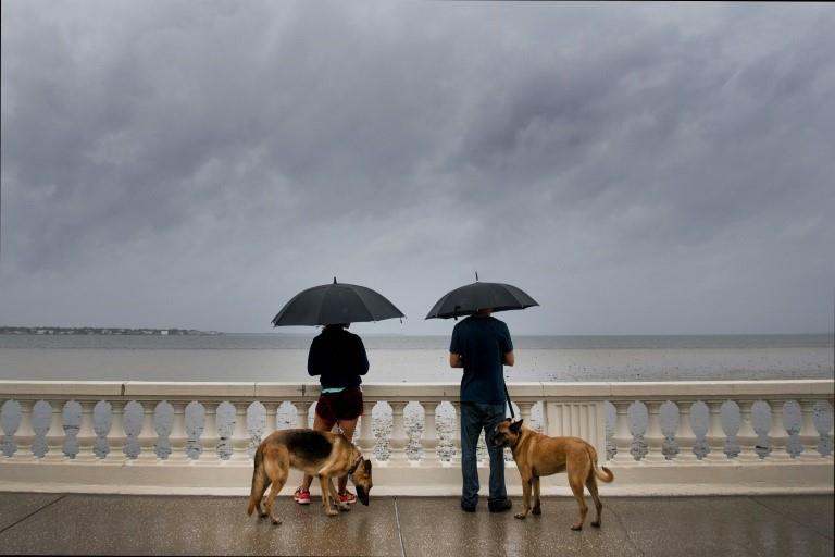 A couple look at the receding water as they walk their dogs on Bayshore Boulevard in Tampa, Florida