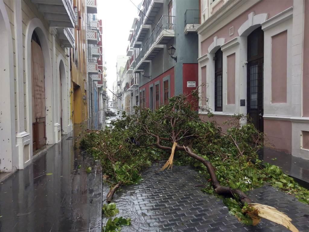 A downed tree blocks a street during in Old San Juan on Sept. 20.