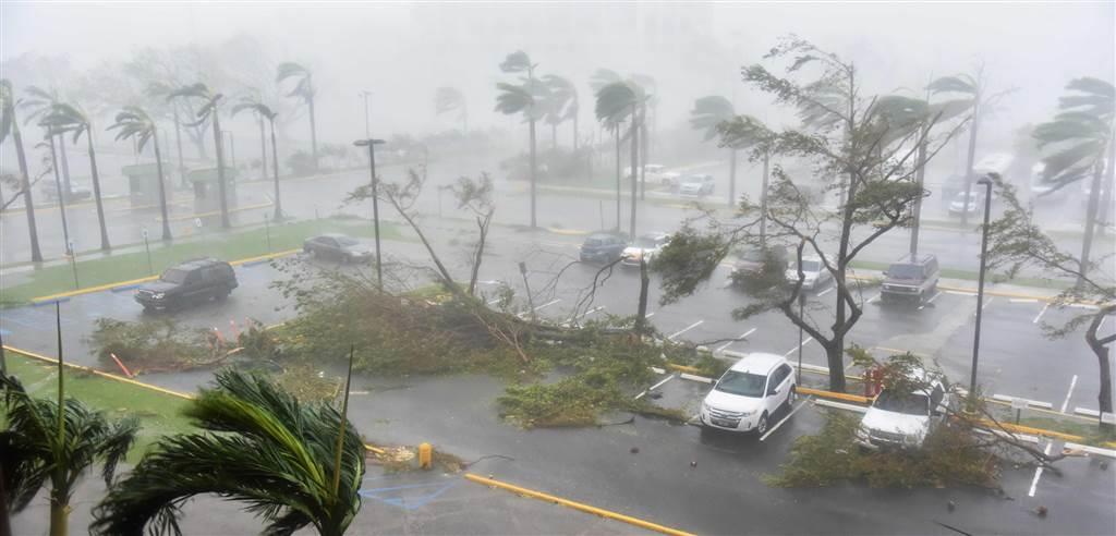 Trees are toppled in a parking lot at Roberto Clemente Coliseum in San Juan on Sept. 20 during the passage of Hurricane Maria.