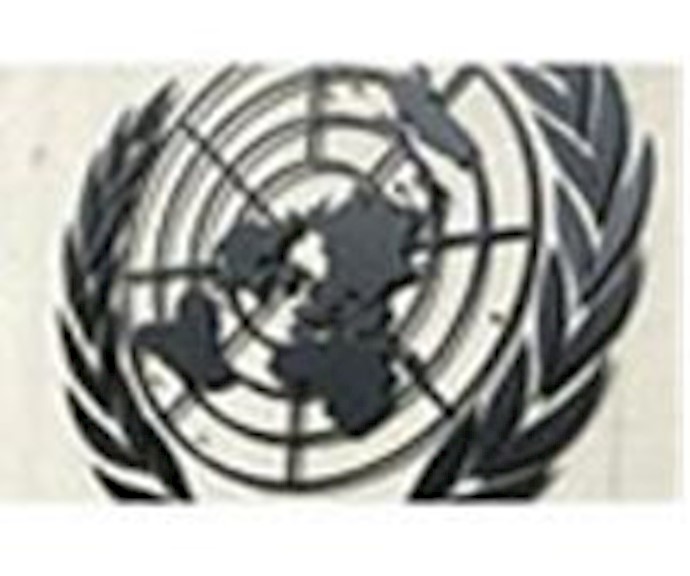 UN experts gravely concerned by mass arrests in Iran