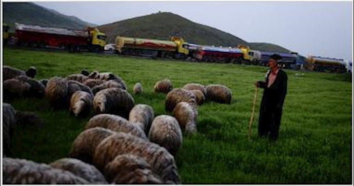 Smugglers in Iraq blunt sanctions against Tehran