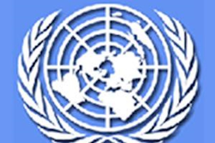UN rights experts criticise Iran over ’vague’ replies