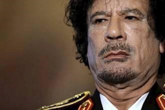 Wikileaks: Gaddafi family a web of greed, nepotism
