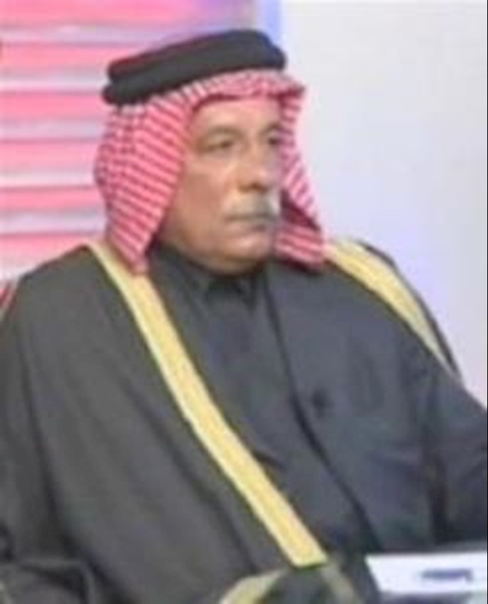 Iranian regime widely meddles in southern Iraq: tribal leader