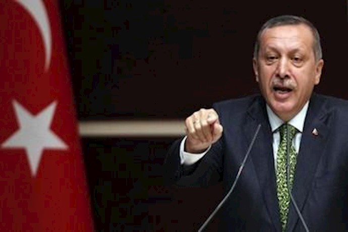 Turkey stopped ship carrying weapons for Syria: Erdogan