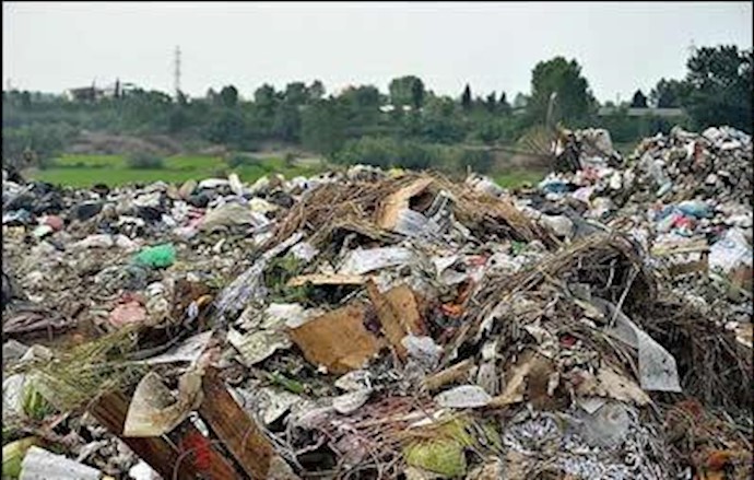 Leishmaniases spreads in western Iranian city