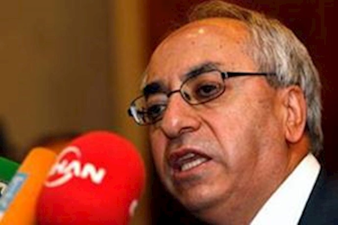 Council to establish provisional government within Syria