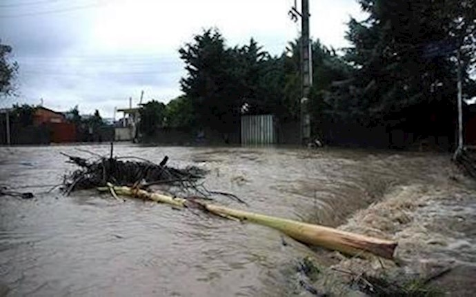 Casualties resulting from floods in Bushehr Province