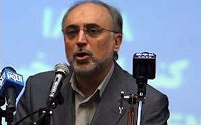 Salehi admits to meddling in Syria