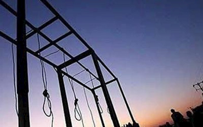 Over 30 prisoners executed in last 4 days