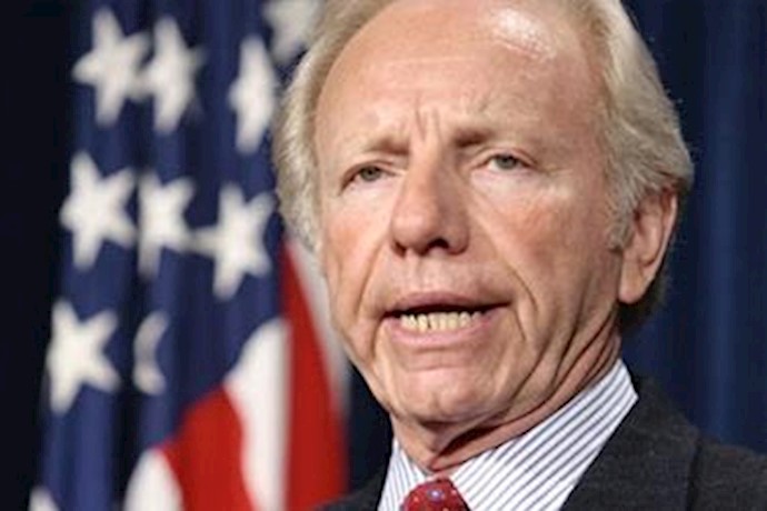 US should mull arming Syria rebels: senator