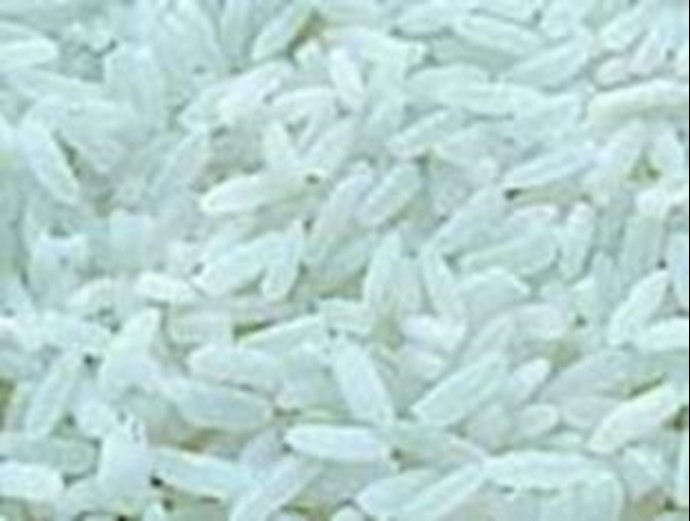 Uruguay wants to barter rice for oil with Iran