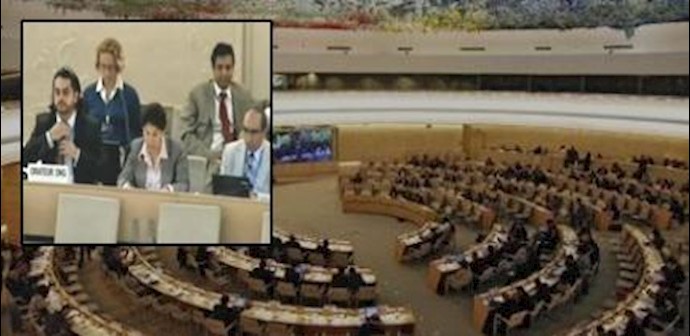 NGOs call on UNHCR and UNHCHR to recognize Liberty as refugee camp