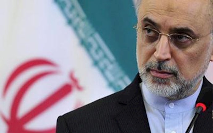 Egypt between Gulf estrangement and Iranian courtship