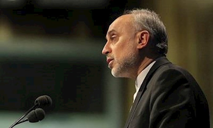 Iran never stopped 20 percent uranium enrichment: Salehi