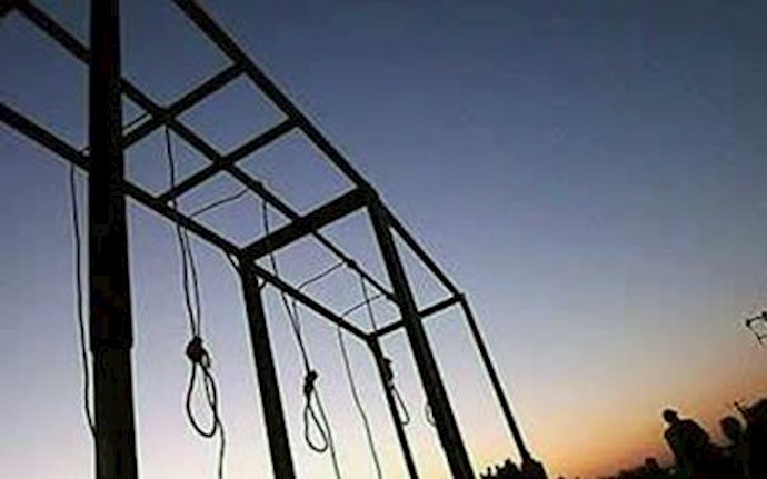 Iraq hangs 42 prisoners including a woman