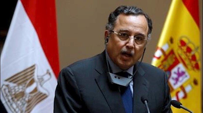 Egypt will hold presidential elections in summer 2014