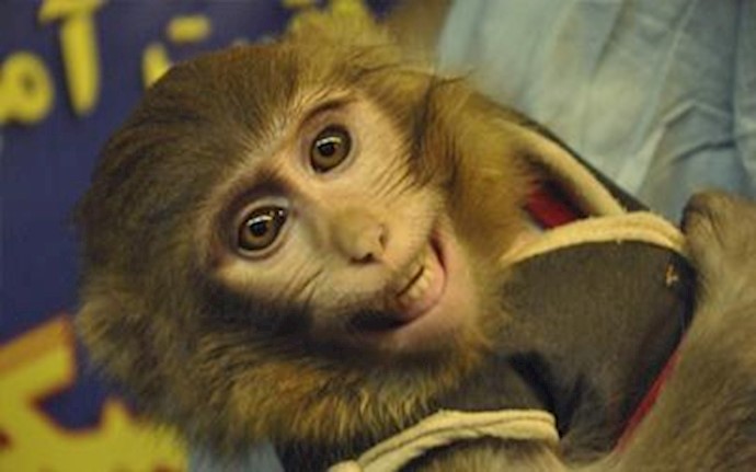 Monkey business? US unsure of Iran’s space claims