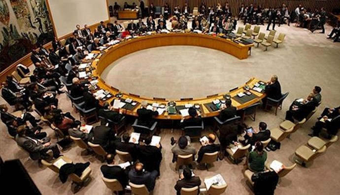  'United Nations Security Council'