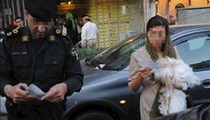  'Having pet dog in mullahs Iran would cost you fine or even lashes'
