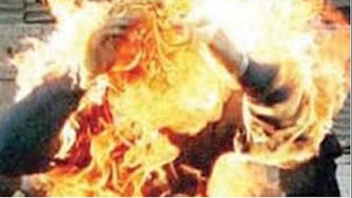 Iranian Graduate Misfires Molotov Cocktail on Self
