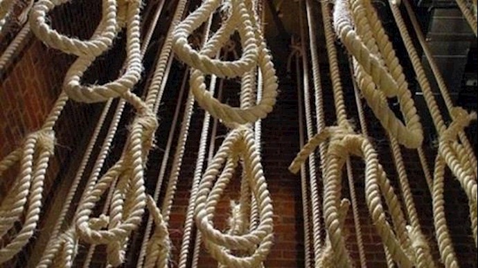 Iran: 29 inmates executed in various cities in six days