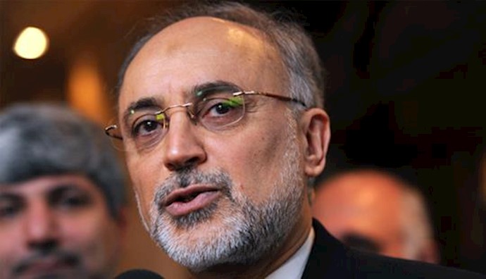  'Iran nuclear chief Ali Akbar Salehi'