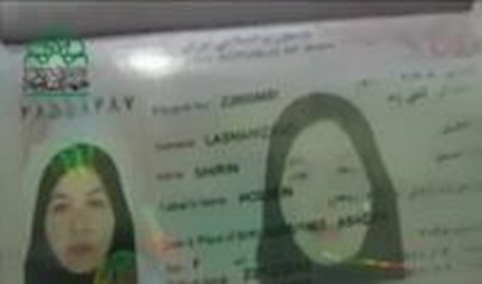 Iranian element arrested near Syria-Turkey border