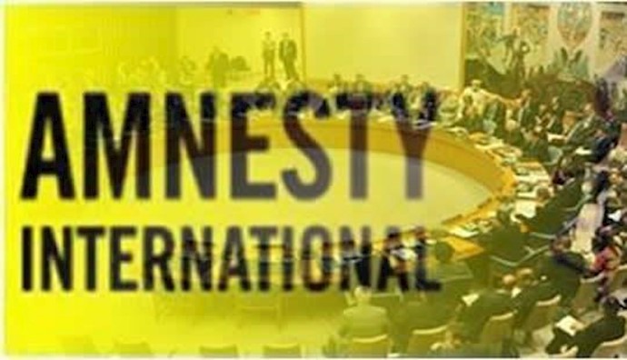  'Amnesty condemns Russia-China veto at UNSC'