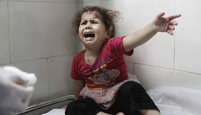  'Over 1,300 Palestinians killed, thousands of others wounded in Gaza'