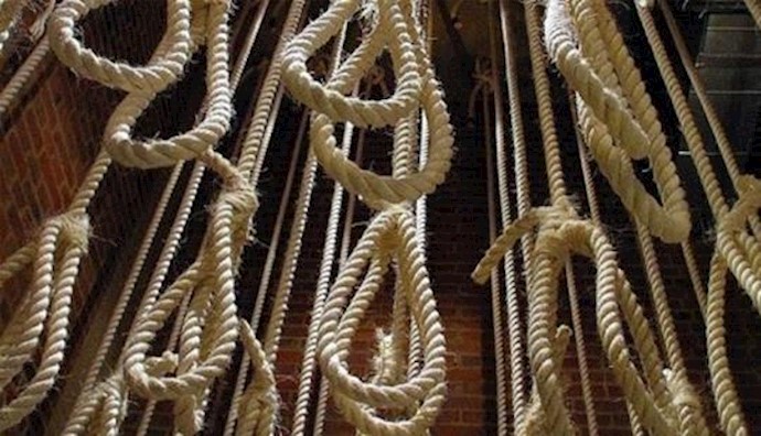  'Executions rising across the globe in 2013'