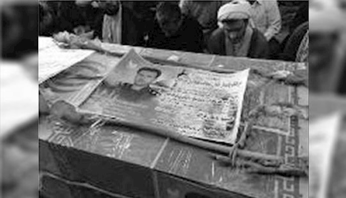  'IRGC pilot Shoja’at Alamdari Murjeli killed in Iraq'