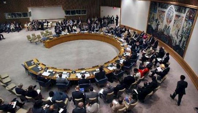  'United Nations Security Council'