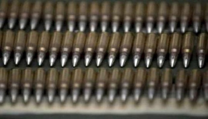 Czechs looking at ways to supply arms to Iraqi Kurds – foreign minister