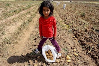 Iran under Rouhani: workers aging from 6 to 60 forced to work to make ends meet