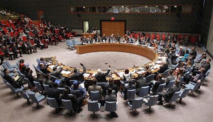  'United Nations Security Council'